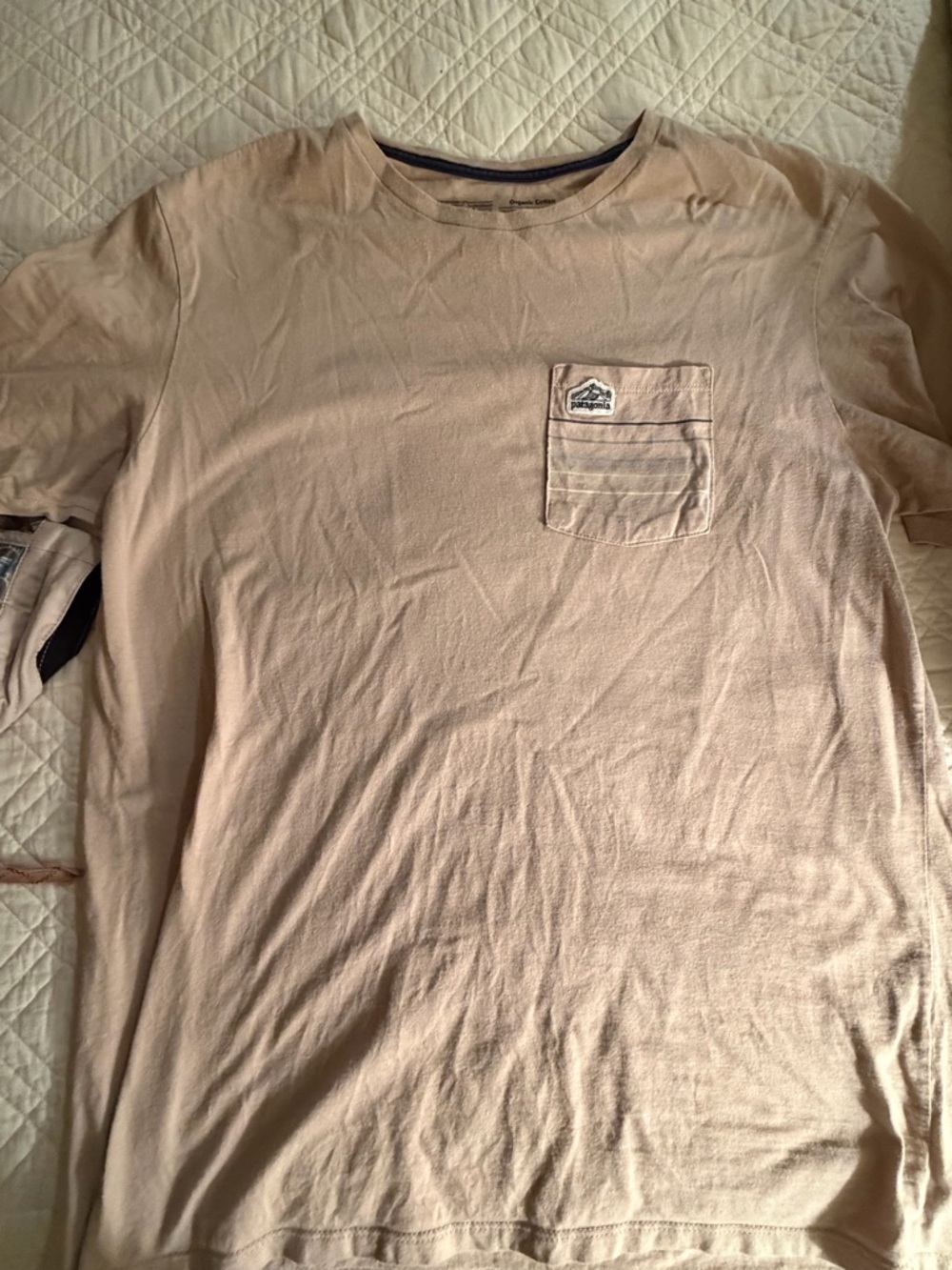 Patagonia pocket tee